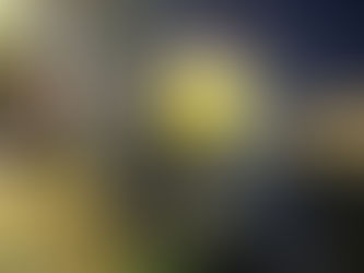 200 CONTROLES Y FISCALIZACIONES EN JORNADA PREVENTIVA REALIZÓ CARABINEROS Y DEJÓ 7 DETENIDOS