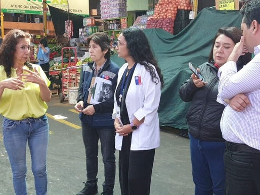 SALUD FISCALIZA EXIGENCIAS SANITARIAS APLICADAS A LA VEGA CENTRAL.