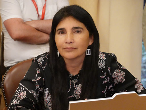 Diputada Ahumada presenta reforma constitucional para crear unidad especial contra el crimen organizado