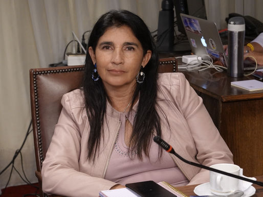 DIPUTADA AHUMADA PRESENTA PROYECTO PARA QUE FFAA SE CAPACITEN EN PROTECCIÓN DE INFRAESTRUCTURA CRÍTICA