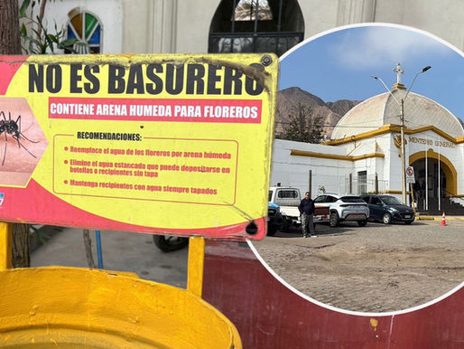 Cementerio General de Antofagasta refuerza medidas preventivas para evitar proliferación del mosquito Aedes aegypti