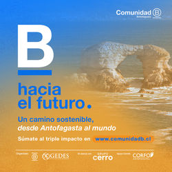 Grafica Comunidad B Antofagasta 