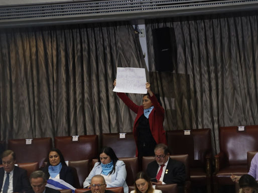 Diputada Ahumada protesta en favor de vecinos de Alto Covadonga durante Cuenta Pública Presidencial