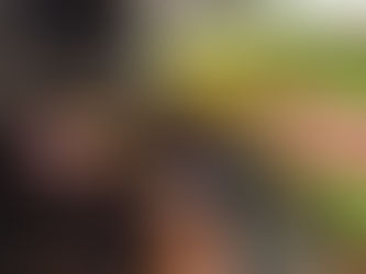 Prohíben funcionamiento a cuatro food truck en Antofagasta: falta de agua potable y servicios higiénicos