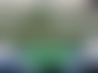 Más de 1,7 toneladas de droga incautadas en la región: decomisan marihuana y hoja de coca en dos operativos en Ruta 5 y Calama