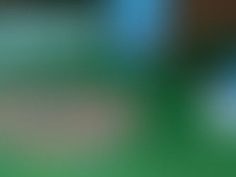 MUJER FUE DETENIDA POR CARABINEROS EN LA POBLACIÓN NICANOR MARAMBIO POT VENTA DE DROGAS Y PORTE DE ARMA BLANCA.