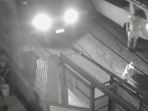 Conductor es formalizado por maltrato animal tras atropellar y matar a dos perros en Antofagasta