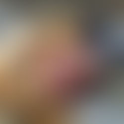 Más de mil accidentes por mordeduras se registran en 2026 en la región de Antofagasta