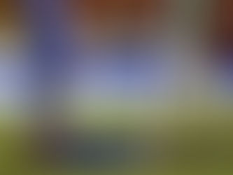 EL CAPO DE PROVINCIA APLASTÓ A UNA PERDIDA UNIVERSIDAD DE CHILE