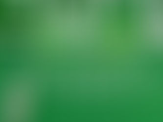 DEBIDO A VARIAS DENUNCIAS CARABINEROS LOGRÓ DETENER LA VENTA DE DROGA EN EL SECTOR MERCADO CENTRAL