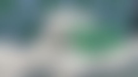 Registran más de seis toneladas de droga incautadas en lo que va del año en Antofagasta