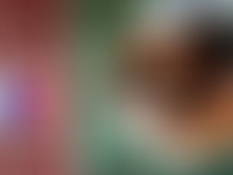 Ordenan restituir subsidio habitacional a beneficiario con discapacidad mental: Serviu actuó de manera discriminatoria al revocarlo