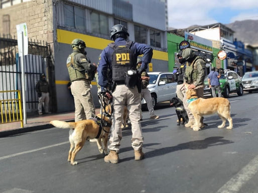 Allanan diez inmuebles dedicados a la venta de drogas en operativo conjunto de Carabineros, PDI y Fiscalía en Antofagasta