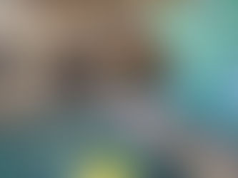 278 ARMAS DE FUEGO EXPONE CARABINEROS PARA INFORMAR DE SU DESTRUCCIÓN Y SACAR DE CIRCULACIÓN