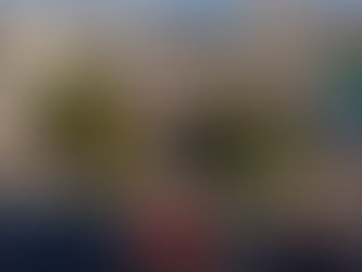 UN SUEÑO CUMPLIDO PARA FAMILIAS TEA. PRIMER CENTRO NANEAS DEL PAÍS DA SU PRIMER PASO CON ADQUISICIÓN DEL EX EDIFICIO TELETÓN