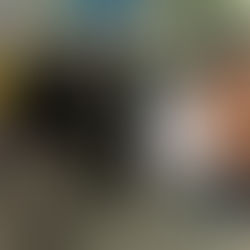 Contraloría ordena investigación en CMDS tras denuncia de senador Araya por problemas en atención primaria de salud