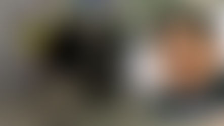 Contraloría ordena investigación en CMDS tras denuncia de senador Araya por problemas en atención primaria de salud