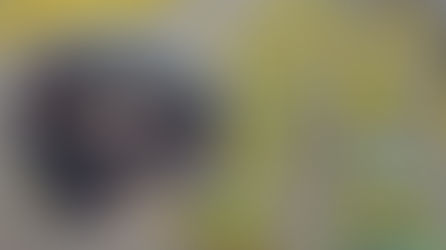 Oculta en un doble fondo de un camión: dos detenidos por tráfico de drogas en San Pedro de Atacama