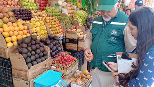 Fiscalización al Mercado Municipal de Antofagasta: clausuran tres locales y cursan siete sumarios sanitarios