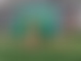 CARABINEROS INTERCEPTA MILLONARIO CARGAMENTO EN RUTA 5 NORTE.