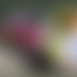 Tras robo de camioneta y extorsión mientras asistía a la licenciatura de su hija, víctima se reúne con diputado Videla: PDI investiga