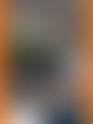 Portada N°869 de Radio Antofagasta Online para hoy sábado 6 de junio de 2026