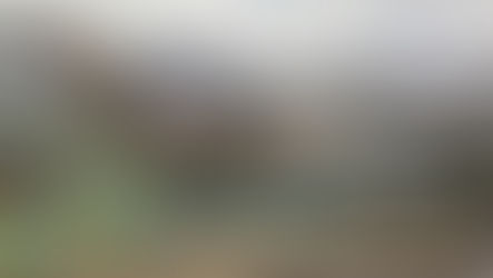 Escuela D-136 “Patricio Cariola” retomará clases: autoridad sanitaria confirma condiciones para su funcionamiento