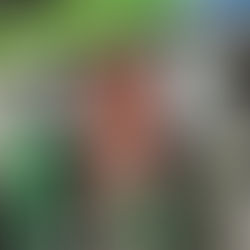 Senador Araya y alza de precio de los combustibles: “Es una bomba atómica a la clase media”