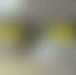 Golpe al narcotráfico en Ollagüe: decomisan 45 kilos de cocaína abandonados por sujetos que huyeron a Bolivia