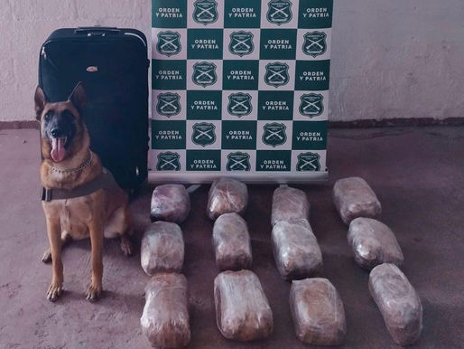 CARABINEROS DEL OS7 SACÓ DE CIRCULACIÓN MÁS DE 13 MIL DOSIS DE DROGA QUE IBA CON DESTINO SANTIAGO