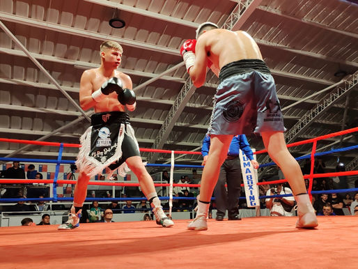 Noche de boxeo profesional tendrá su quinta edición en Antofagasta