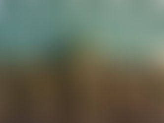 Calama: prisión preventiva para venezolano sorprendido con 88 kilos de marihuana en control carretero