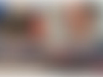 Videla responde a Candidato presidencial de Bolivia Rodrigo Paz: “Es falso lo que dice, la delincuencia no tiene nacionalidad; es inaceptable que se quiera regularizar los autos robados de Chile