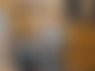 Avanza Arena Antofagasta: Videla se reúne con ministra de Bienes Nacionales y anuncia visita clave para proyecto que incluiría patinódromo