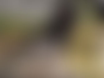 Detienen a pasajero de bus interurbano por tráfico de drogas en Calama