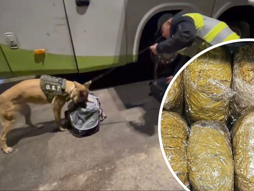 Detienen a pasajero de bus interurbano por tráfico de drogas en Calama
