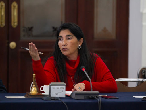 FAMILIAS CON DEUDAS EN SUS CUENTAS DE LA LUZ PODRÁN POSTULAR A SUBSIDIO DEL EJECUTIVO PARA ENFRENTAR EL ALZA