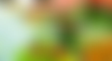 Revisa los platos más económicos para la cena de Año Nuevo