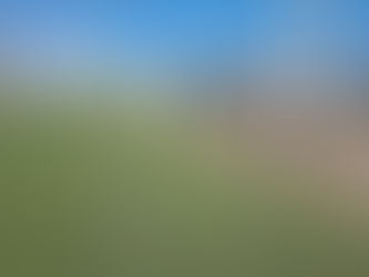 CORE ANTOFAGASTA APRUEBA $1.163 MILLONES PARA LA CONSERVACIÓN DEL COMPLEJO DEPORTIVO LAUTARO