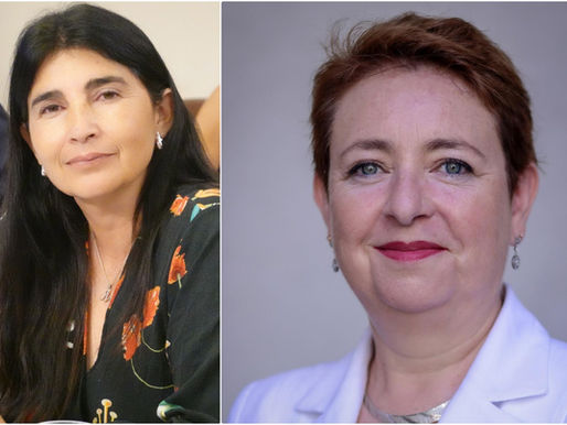 Diputada Yovana Ahumada emplaza a la Delegada Presidencial por Notable Abandono de Deberes