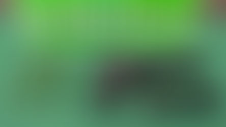 Detienen a sujeto con amplio prontuario portando un arma de fuego en la costanera de Antofagasta