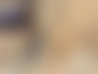 HALLAZGO DE OSAMENTAS EN SECTOR DE GATICO SERÁN INFORMADAS AL CONSEJO NACIONAL DE MONUMENTOS