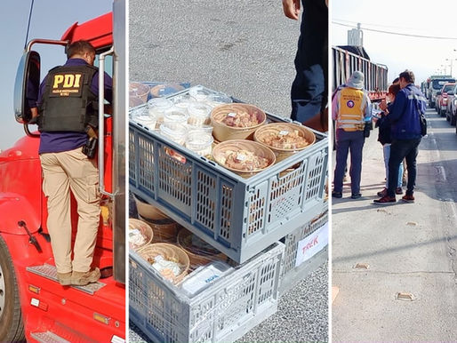 Más de 100 controles vehiculares: fiscalización en sector La Negra de Antofagasta deja el decomiso de una tonelada de alimentos