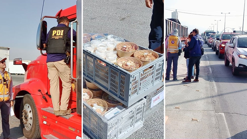 Más de 100 controles vehiculares: fiscalización en sector La Negra de Antofagasta deja el decomiso de una tonelada de alimentos