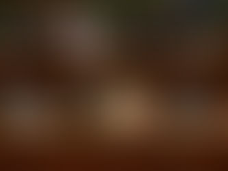 CÁMARA DE DIPUTADOS APRUEBA LA IDEA DE LEGISLAR LA REFORMA PREVISIONAL.