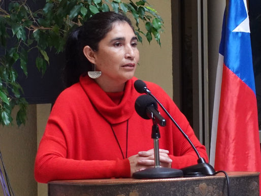 DIPUTADA AHUMADA INTEGRARÁ LA COMISIÓN
ESPECIAL DE LA CÁMARA PARA INVESTIGAR EL CASO CONVENIOS