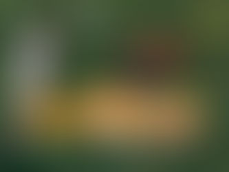 UNIÓN ESPAÑOLA DEJAÓ ESCAPAR EL TRIUNFO SOBRE EL FINAL FRENTE A CURICÓ UNIDO