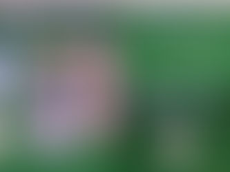 CARABINEROS DETIENE A SUJETO CON 115 PAPELILLOS DE PASTA BASE DE COCAÍNA