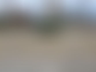 UN NUEVO DECOMISO DE DROGAS EN CONTROL CARRETRO, MÁS DE 400 MIL DOSIS FUERON DETECTADAS