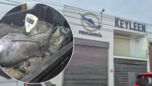 Inician sumario sanitario contra pescadería “Keyllen” en Antofagasta tras denuncias por malos olores